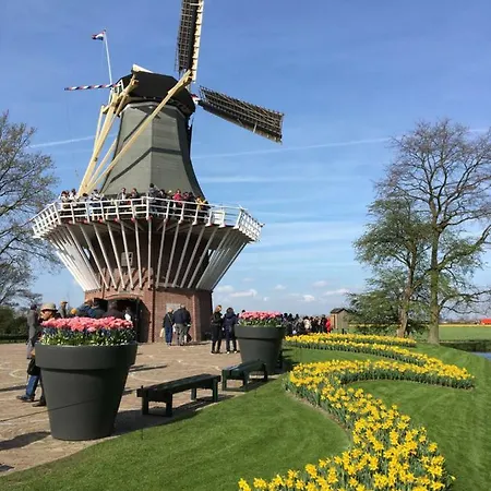 Rozenobel Zandvoort